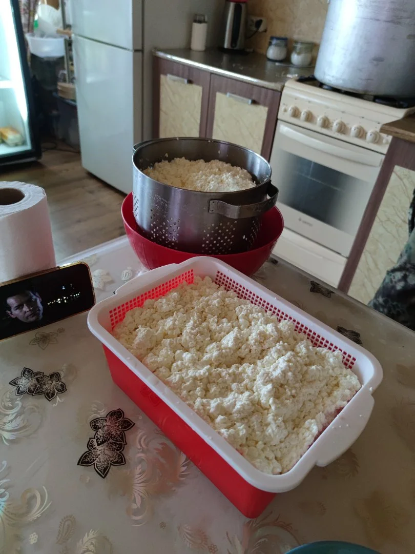 Домашняя молочная продукция - миниатюра 2