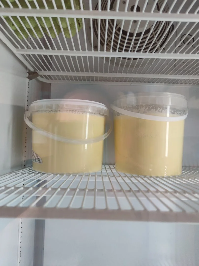 Домашняя молочная продукция - миниатюра 4