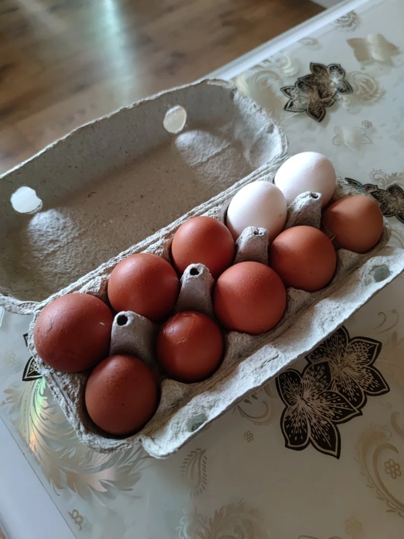 Домашняя молочная продукция - миниатюра 5