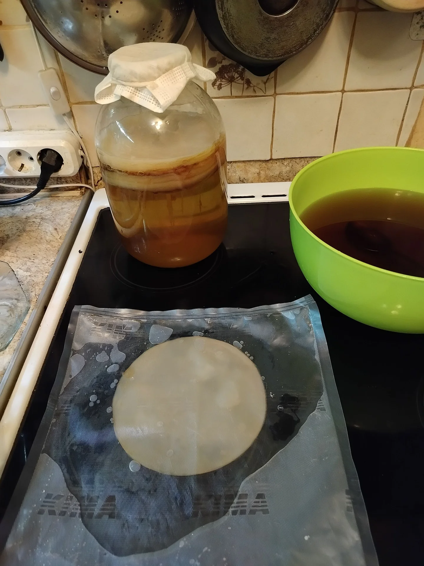 Живой Чайный Гриб (Комбуча) в вакууме - миниатюра 2
