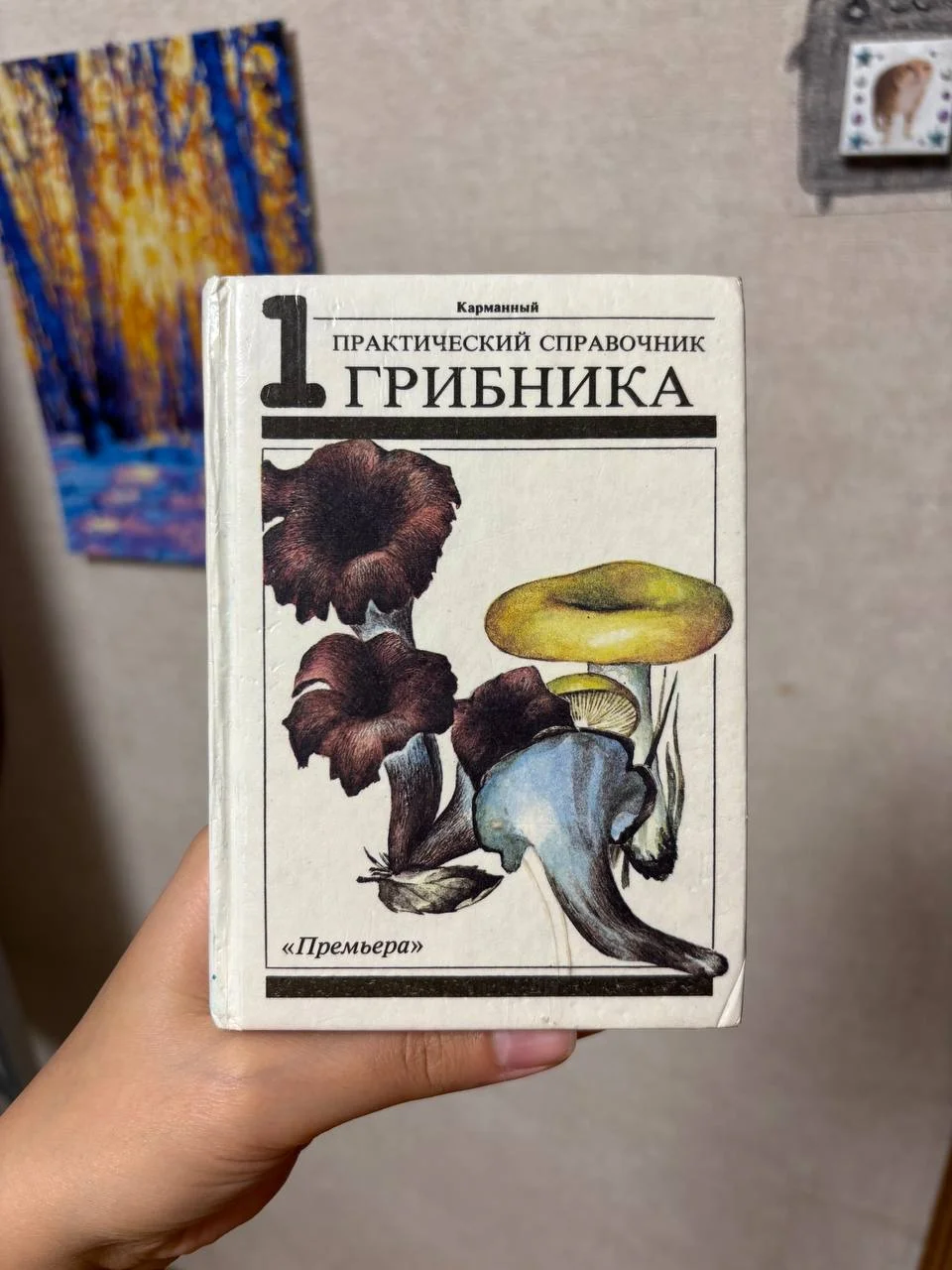 Практический справочник грибника карманный - изображение 1