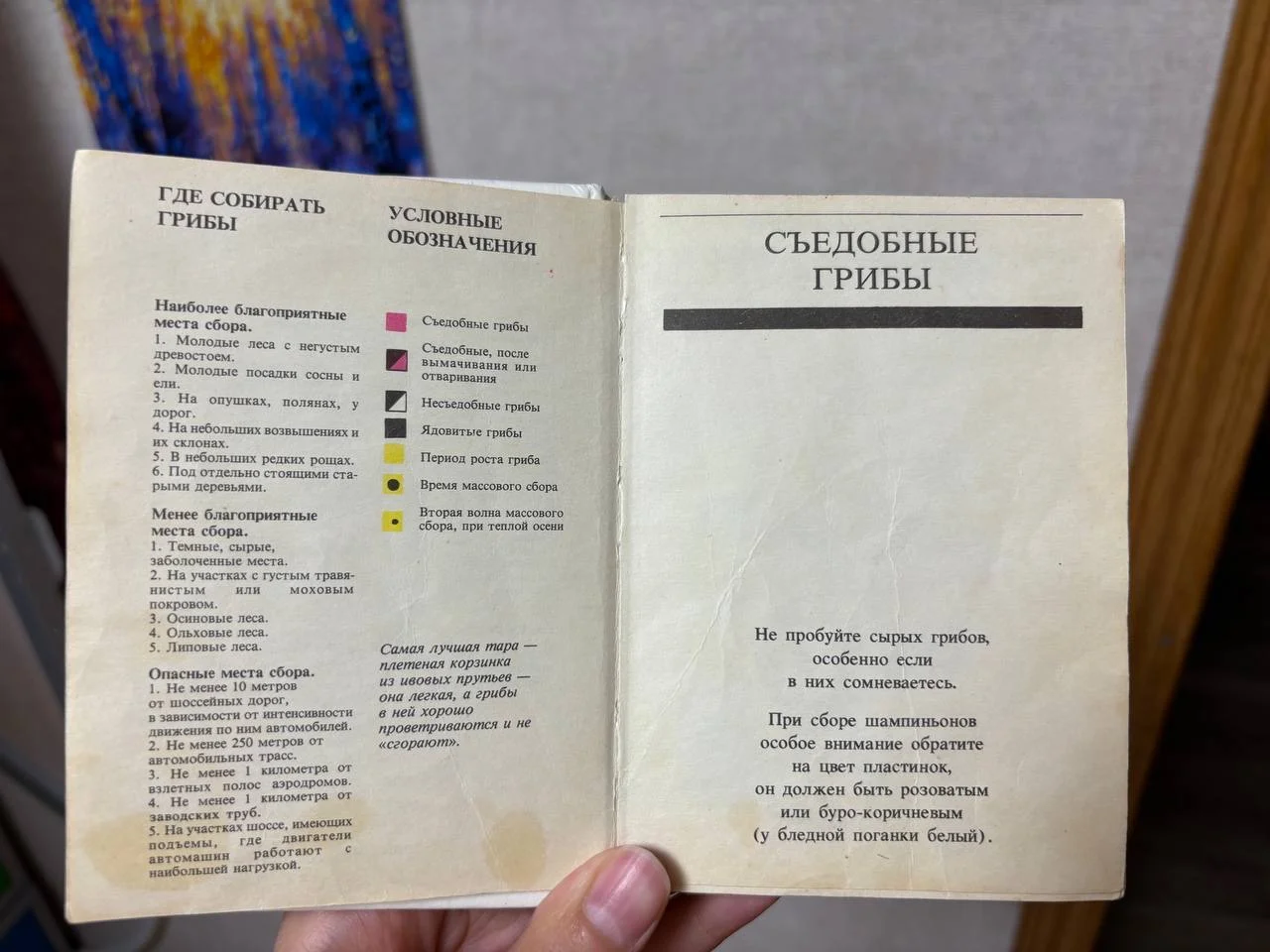 Практический справочник грибника карманный - миниатюра 5