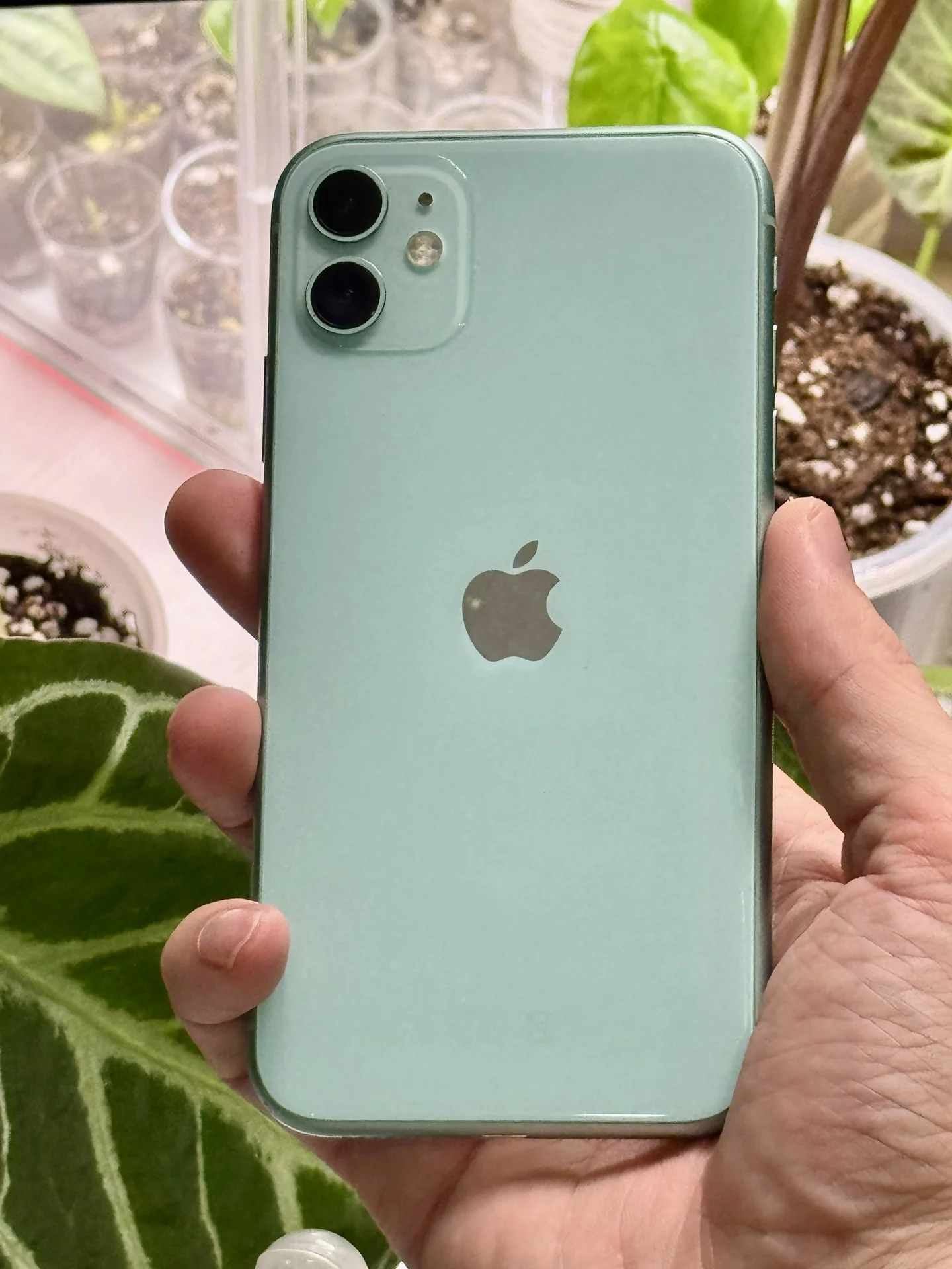 IPhone 11 - миниатюра 5