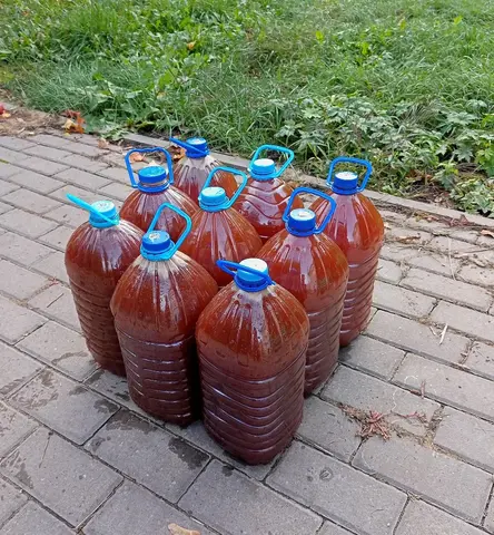 Сок яблочный прямой отжим 5 л