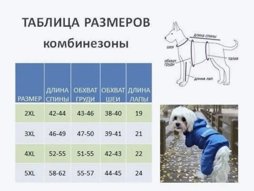 Дождевик для собаки с капюшоном - миниатюра 5