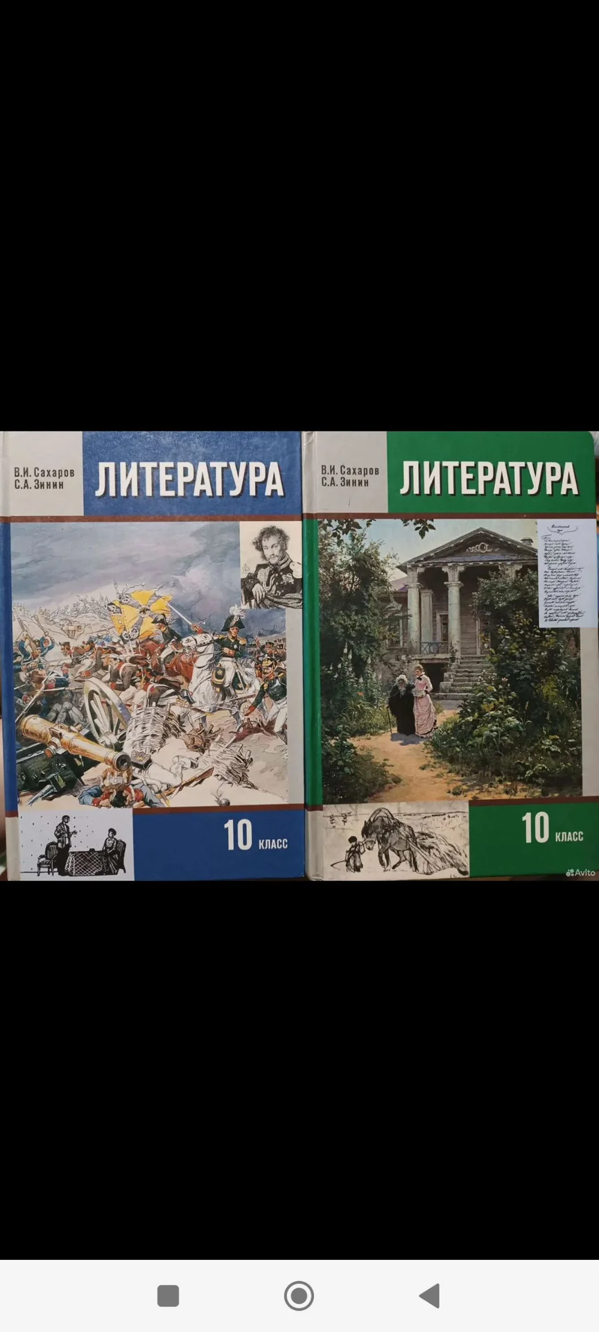 Учебник по литературе 10 класс - изображение 1