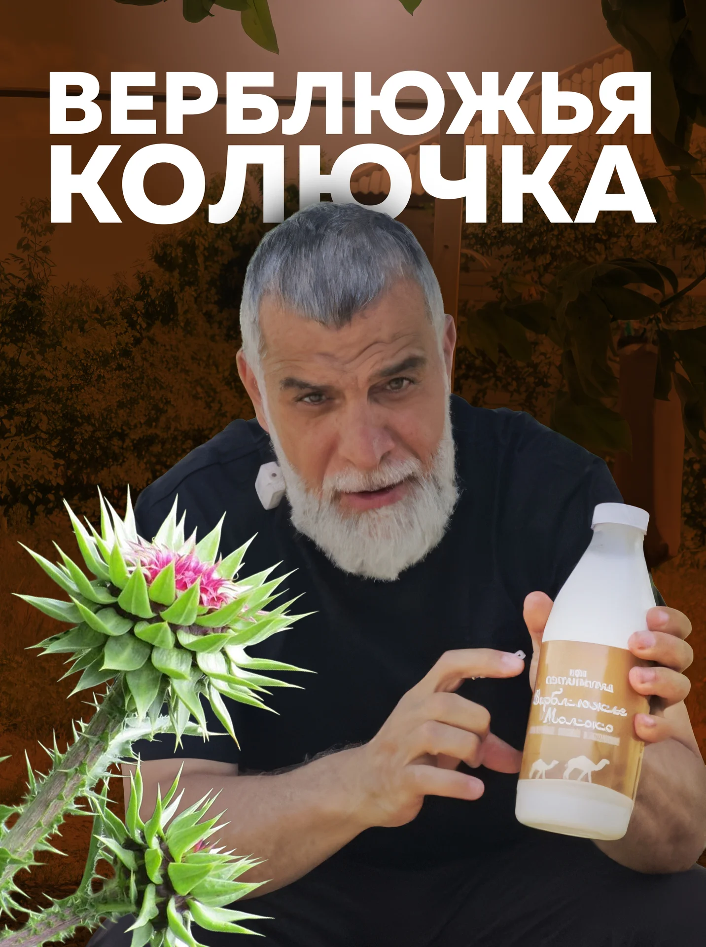 Верблюжье молоко свежее - миниатюра 6