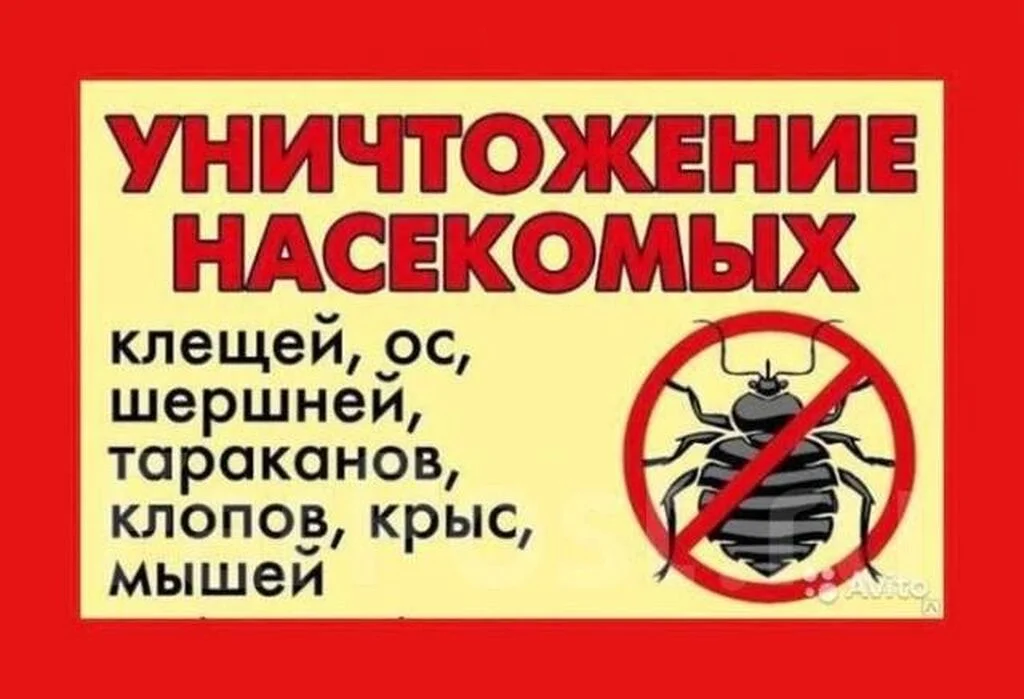 Устранение насекомых,грызунов,плесени - миниатюра 2