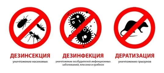 Устранение насекомых,грызунов,плесени - миниатюра 3