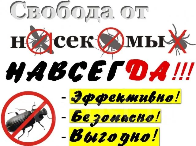 Устранение насекомых,грызунов,плесени - миниатюра 5