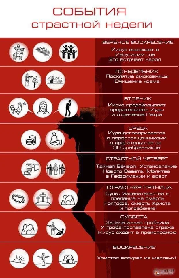 Устранение насекомых,грызунов,плесени - миниатюра 6