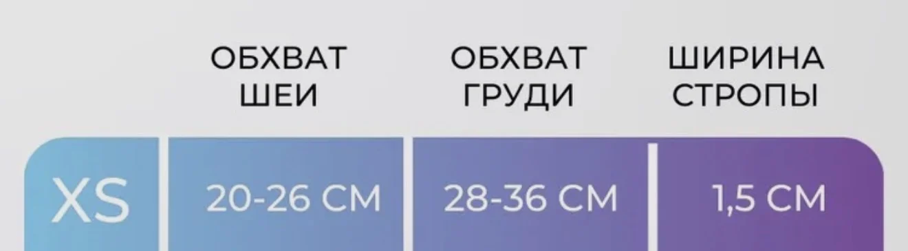 Шлейка и поводок для собаки - миниатюра 5