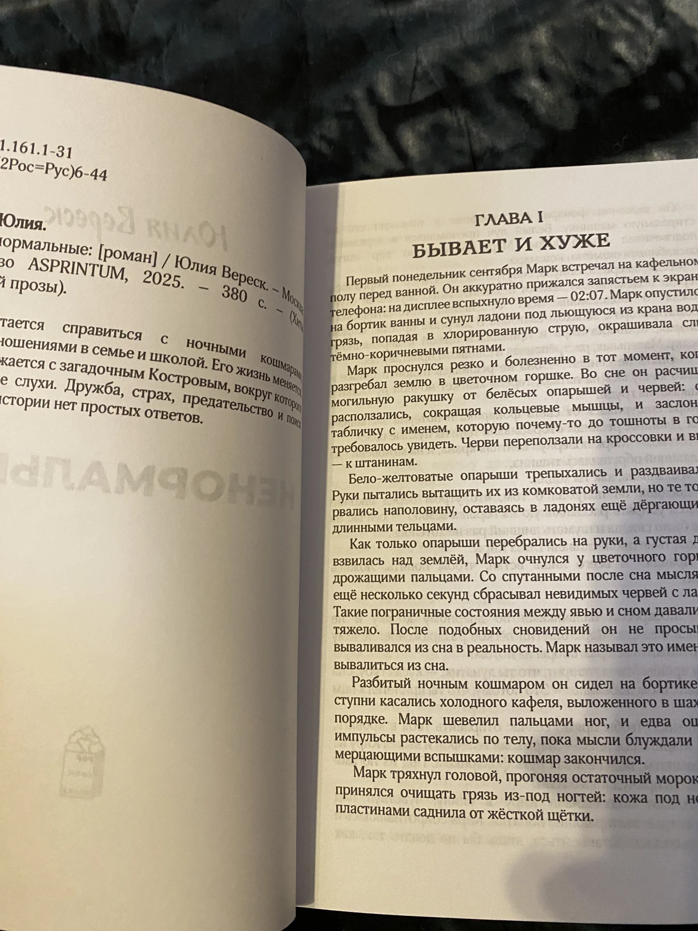Ю. Вереск «Ненормальные» - миниатюра 5