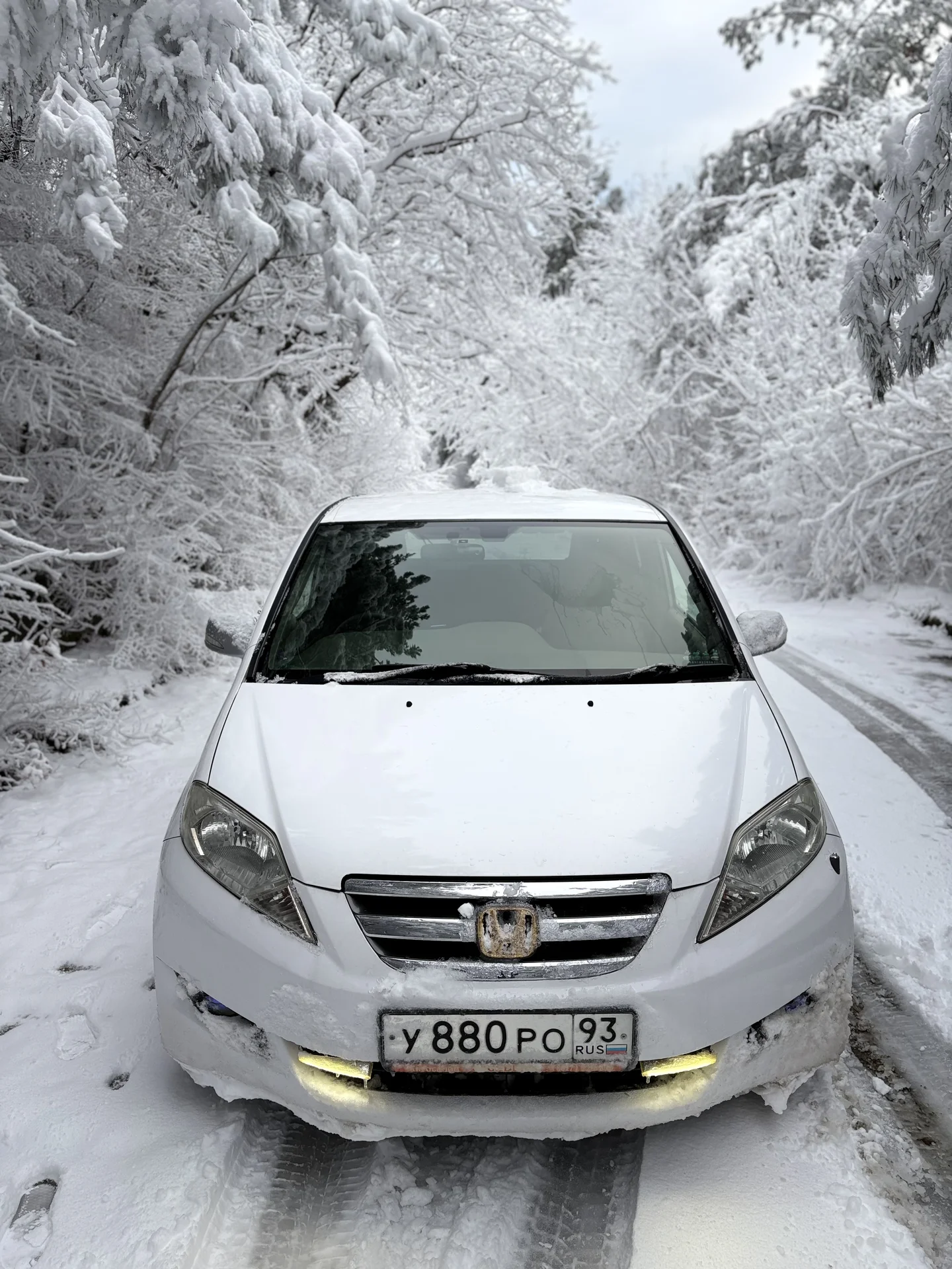 Honda Edix - миниатюра 3