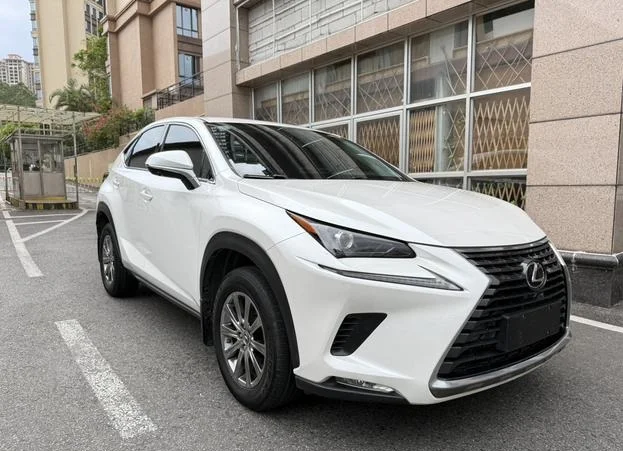 Lexus NX200 - изображение 1