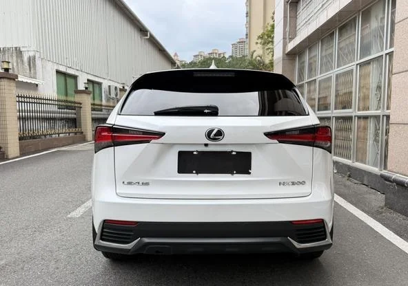 Lexus NX200 - миниатюра 7