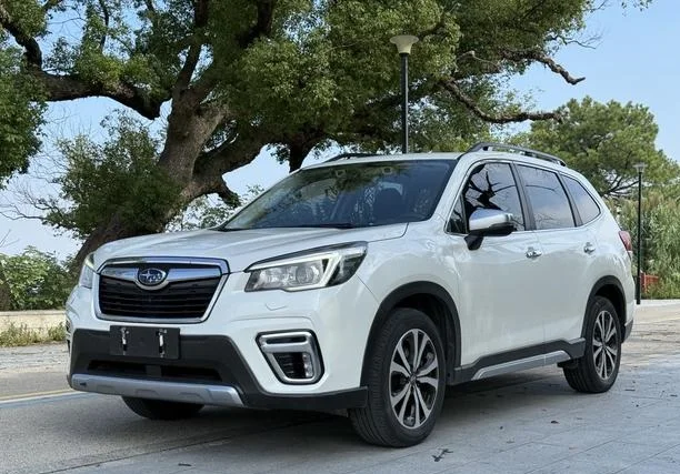 Subaru Forester - изображение 1