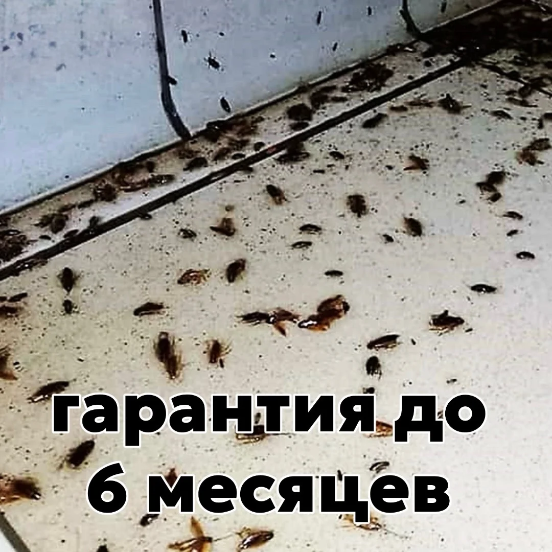 Уничтожение клопов и тараканов! - миниатюра 5