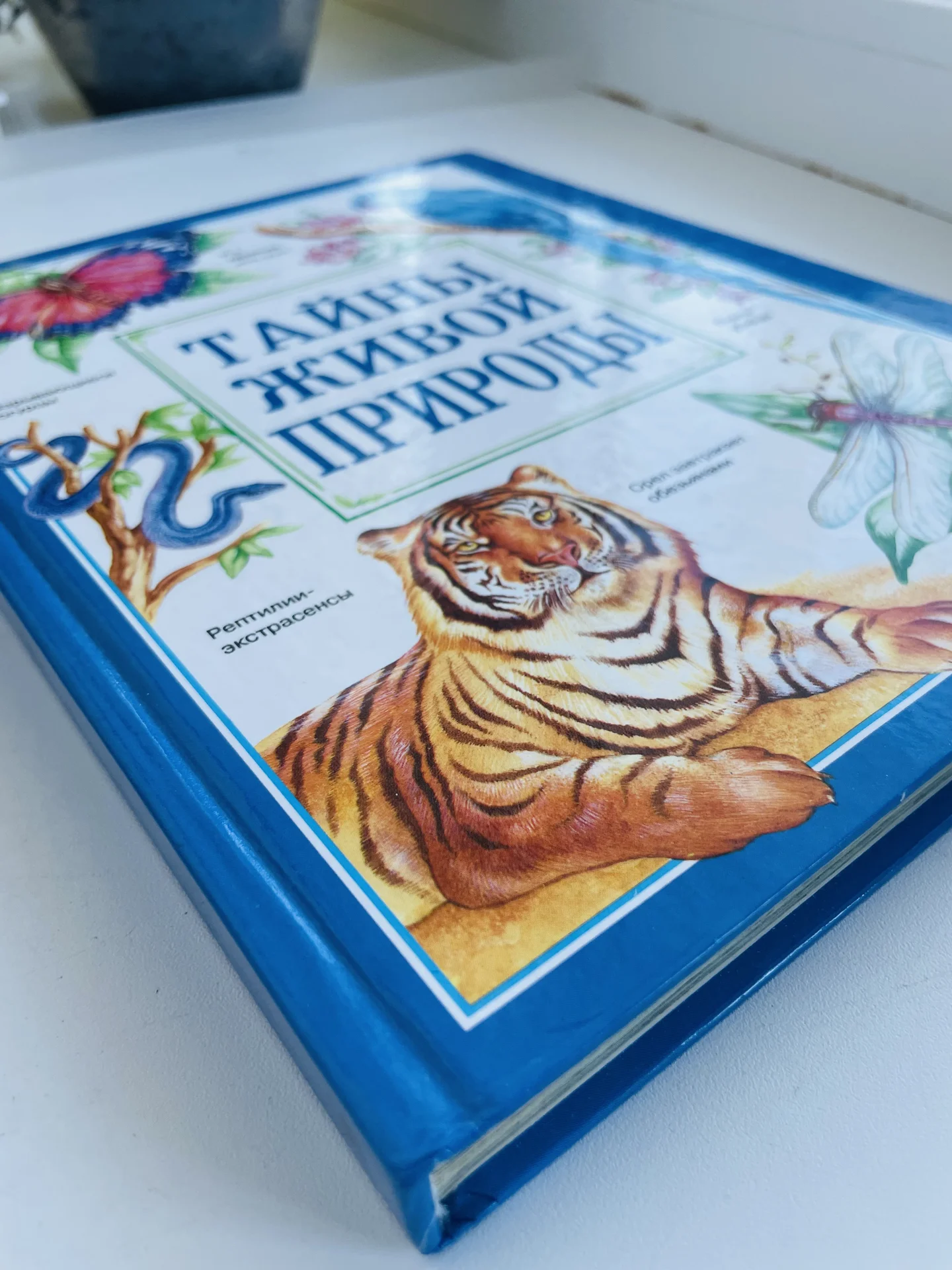 Книга «Тайны живой природы» издательство «Росмэн» - миниатюра 2