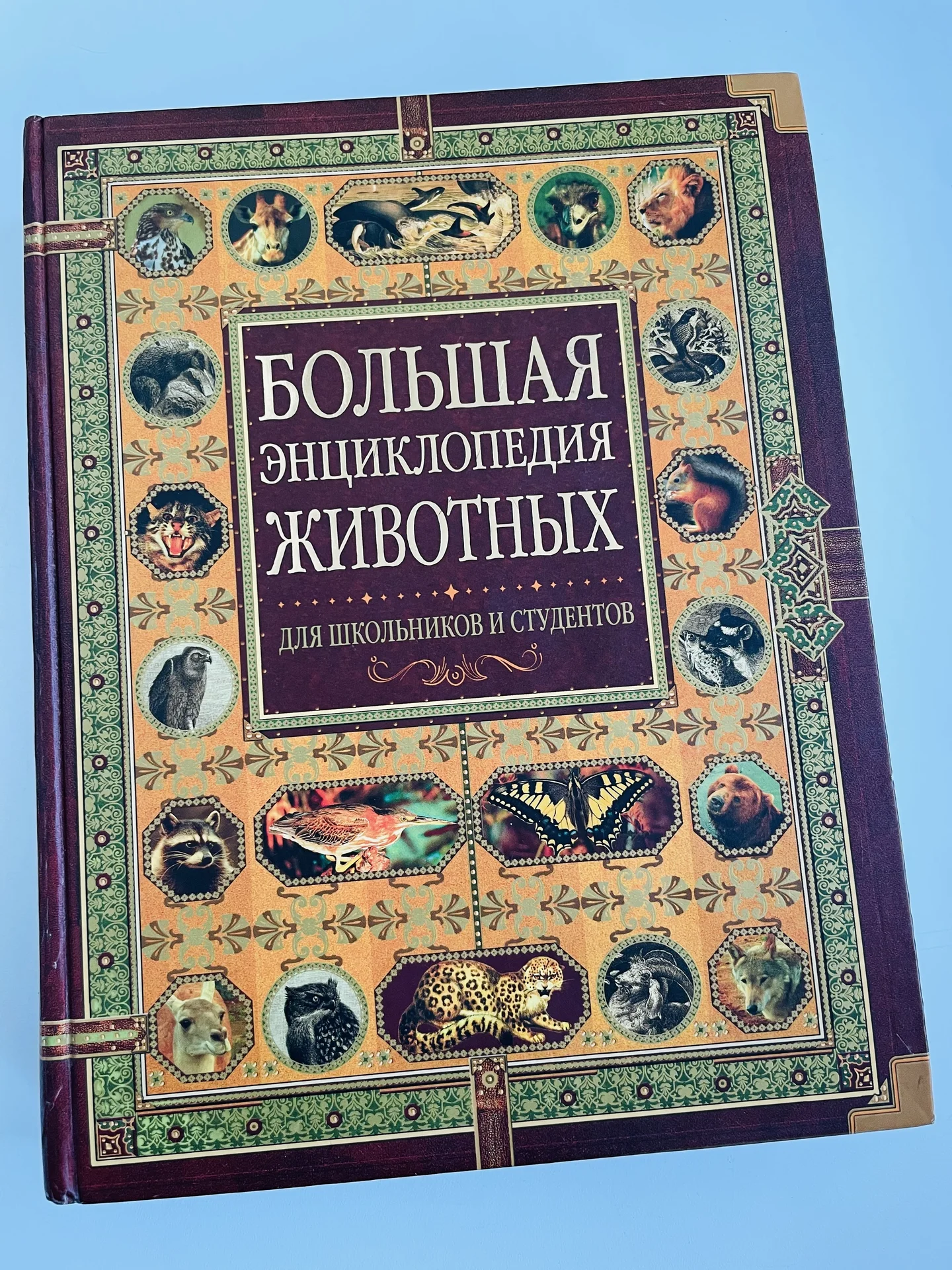 Большая энциклопедия животных справочное пособие - изображение 1