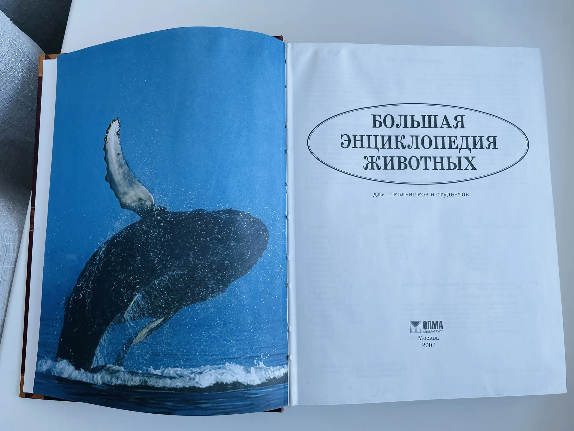 Большая энциклопедия животных справочное пособие - миниатюра 3