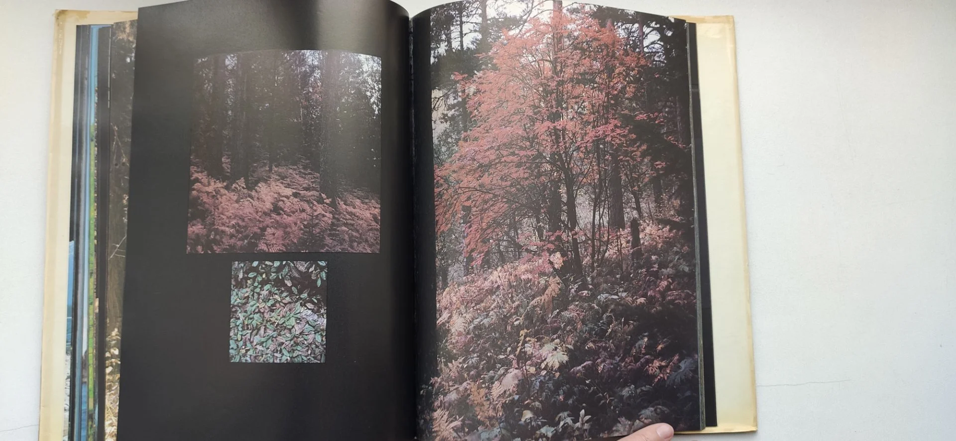 Это Байкал" книга-фотоальбом. New & Rare. Винтаж - миниатюра 8