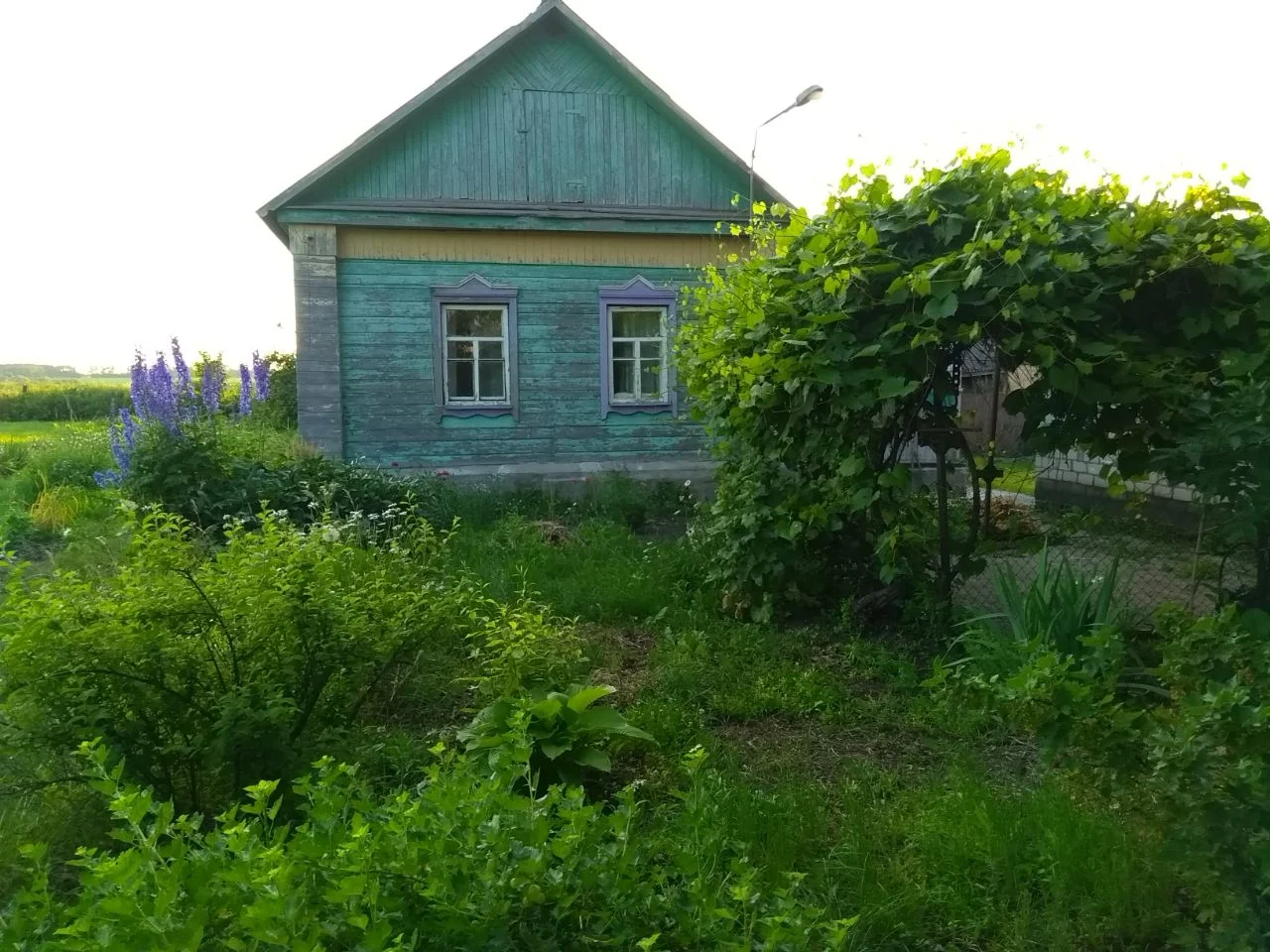 Продам сельский дом с землёй 65/51 м² — просторный одноэтажный пятистенок + 39 сот. земли