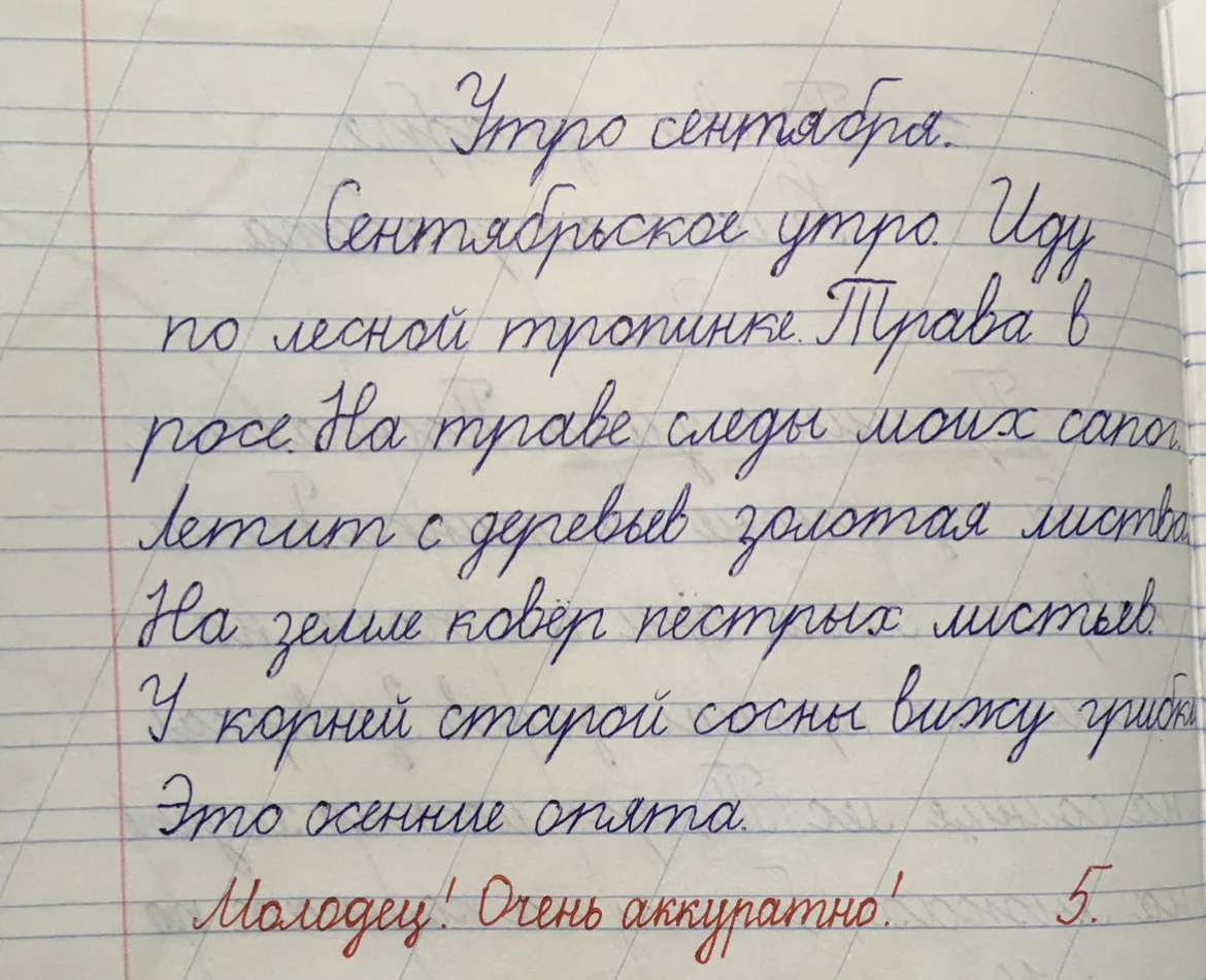 Коррекция почерка - миниатюра 5