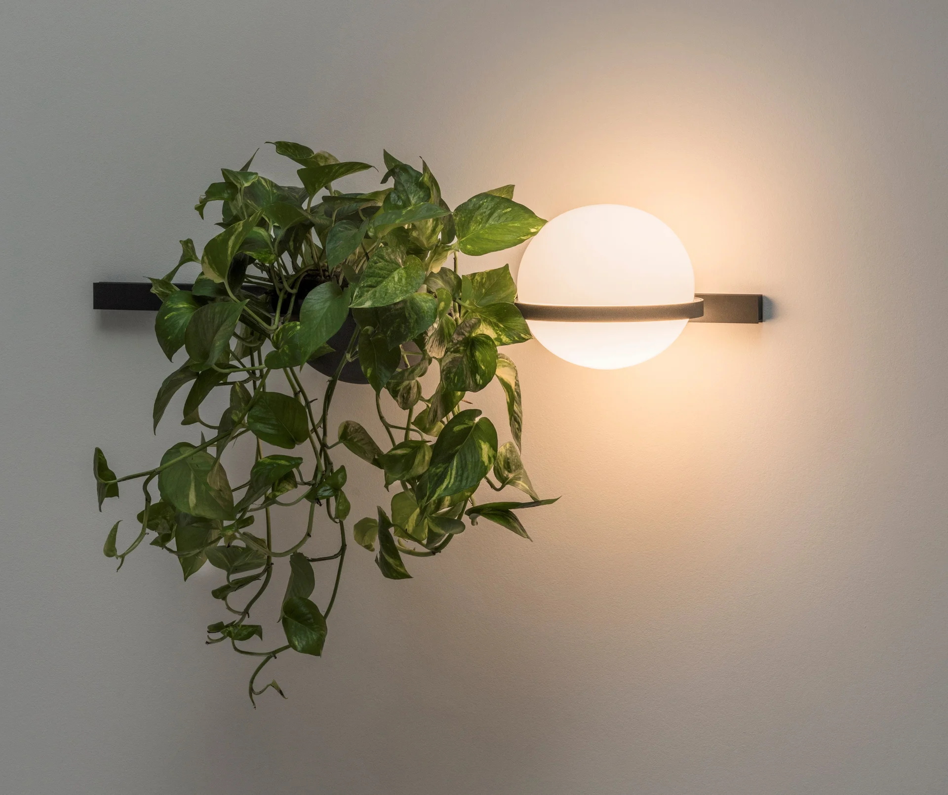 Бра PALMA Wall lamp 1 шар - миниатюра 10