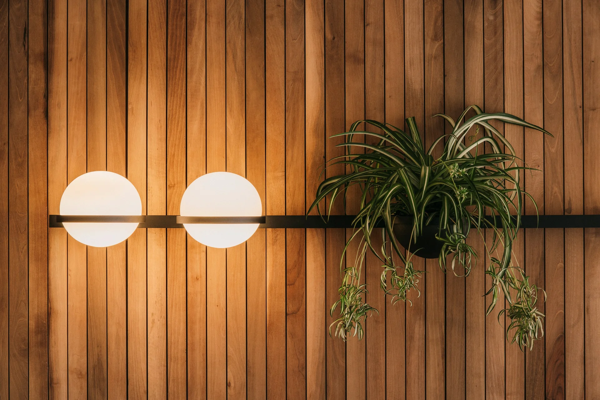 Бра PALMA Wall lamp 1 шар - миниатюра 11