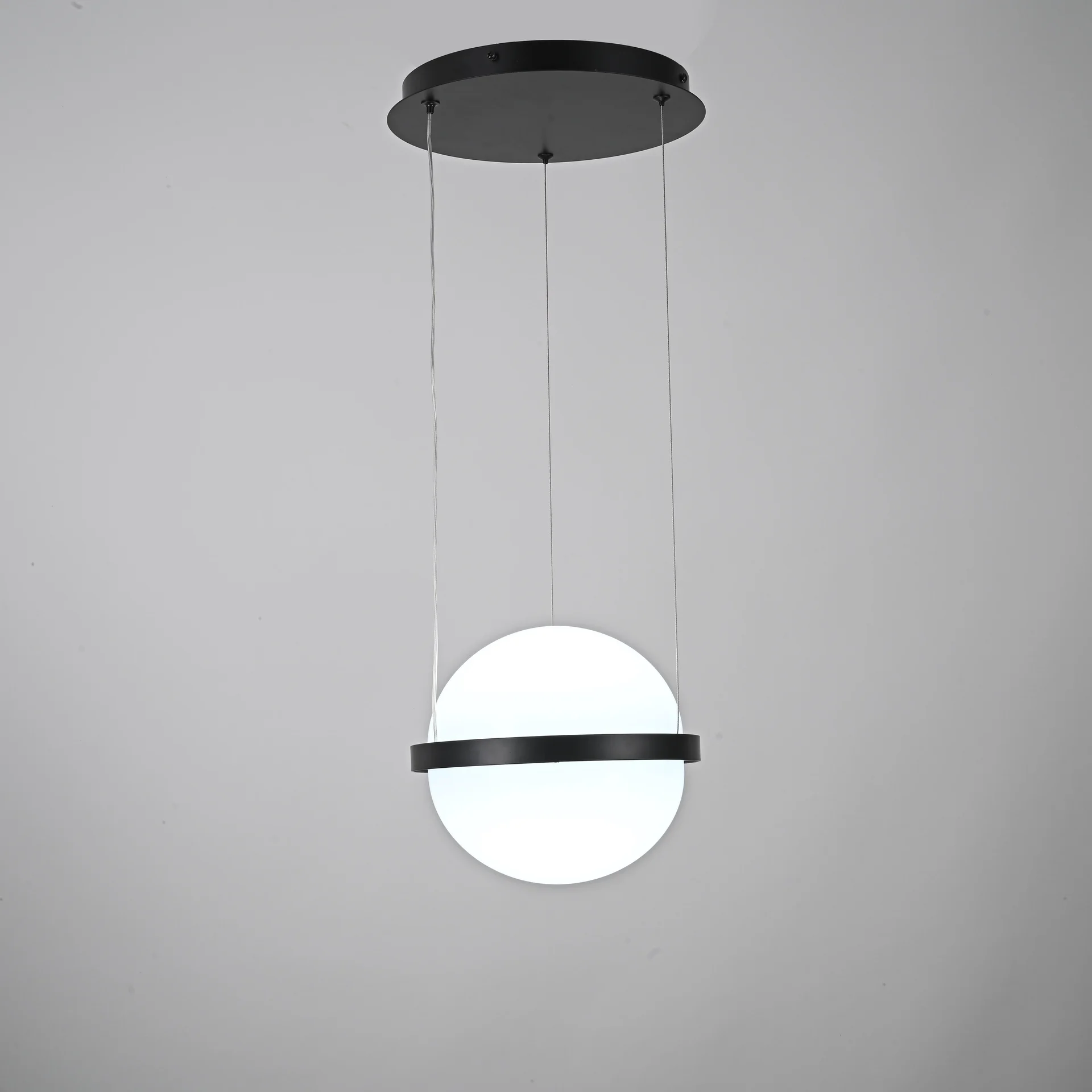 Подвесной светильник PALMA lamp Шар - миниатюра 4