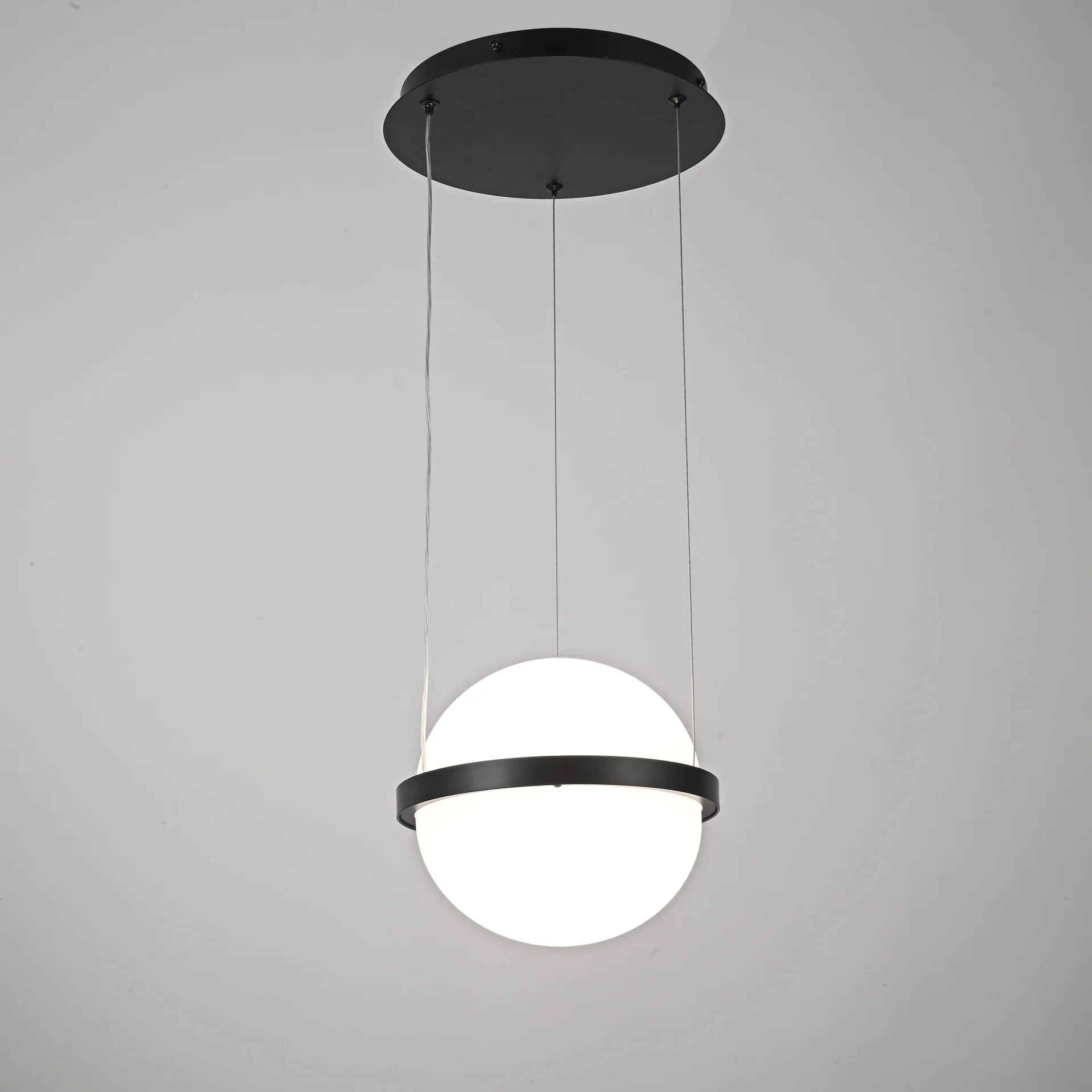 Подвесной светильник PALMA lamp Шар - миниатюра 5