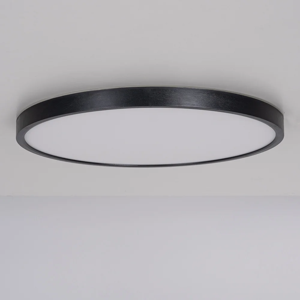 Потолочный светильник EXTRASLIM D40 Black - миниатюра 3