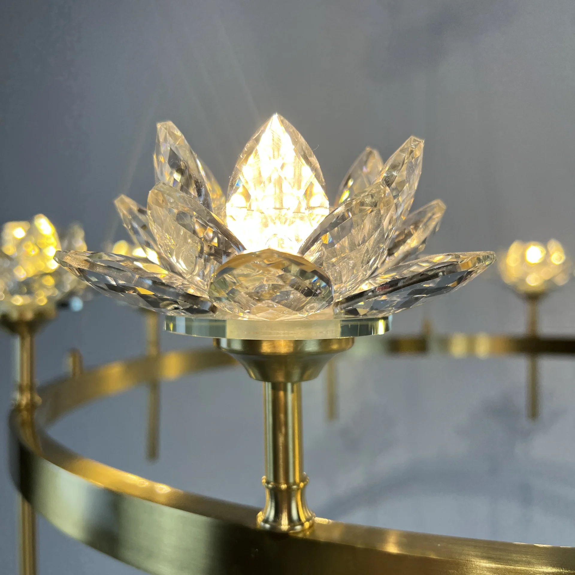 Подвесная люстра LOTOS D80 8 lamps - миниатюра 20