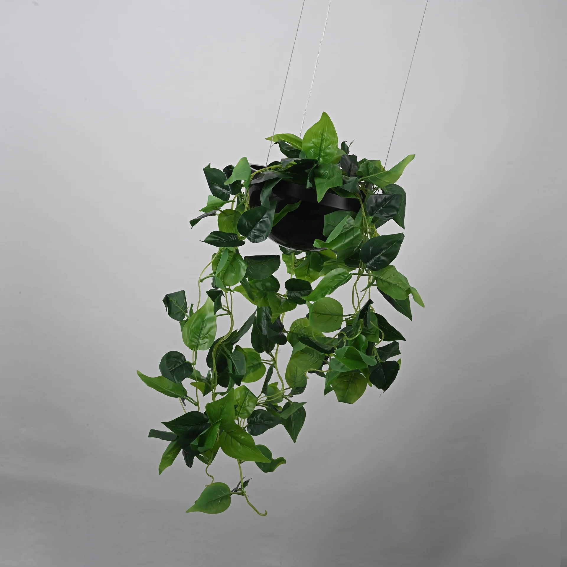Подвесной светильник PALMA Wall lamp шар + вазон - миниатюра 3