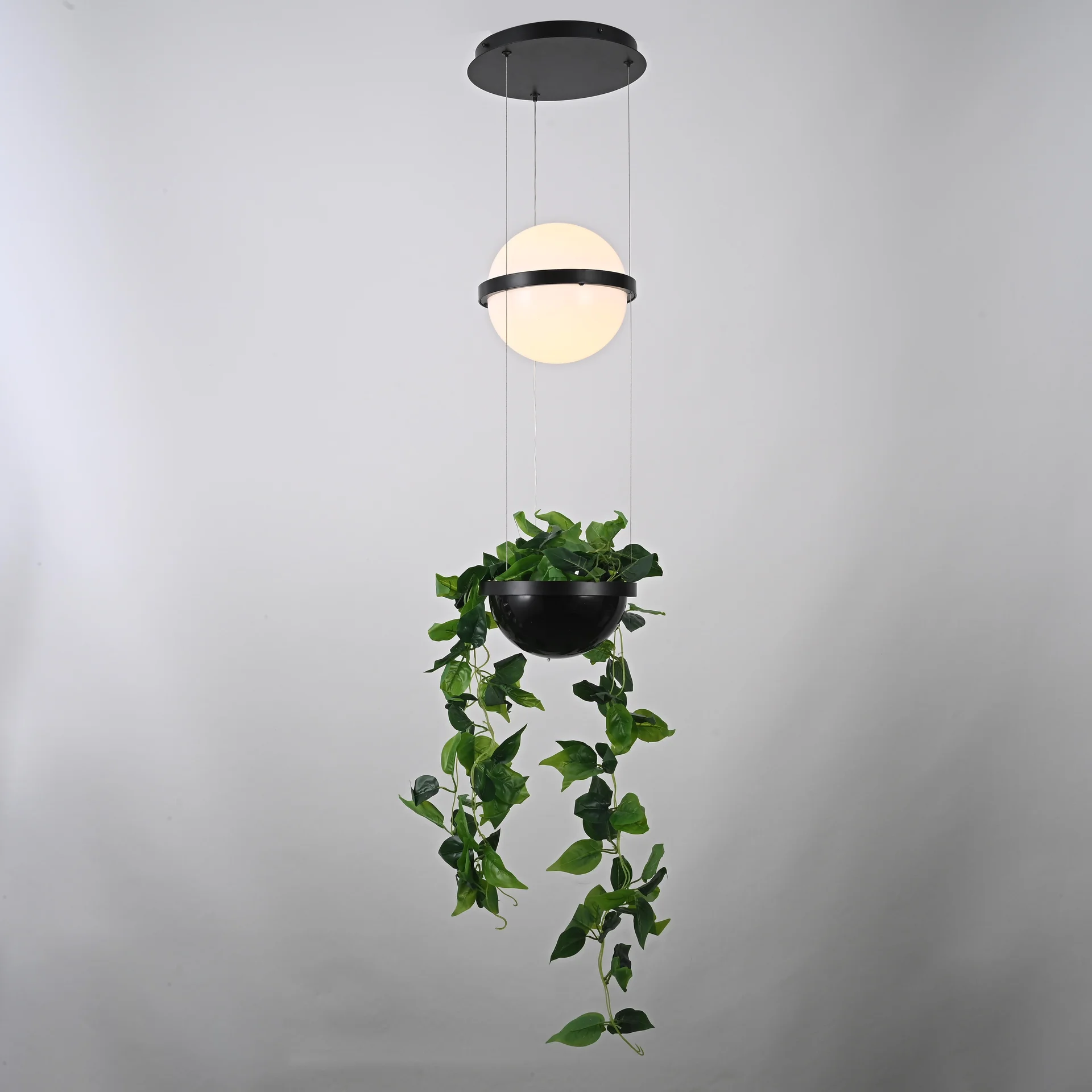 Подвесной светильник PALMA Wall lamp шар + вазон - миниатюра 5