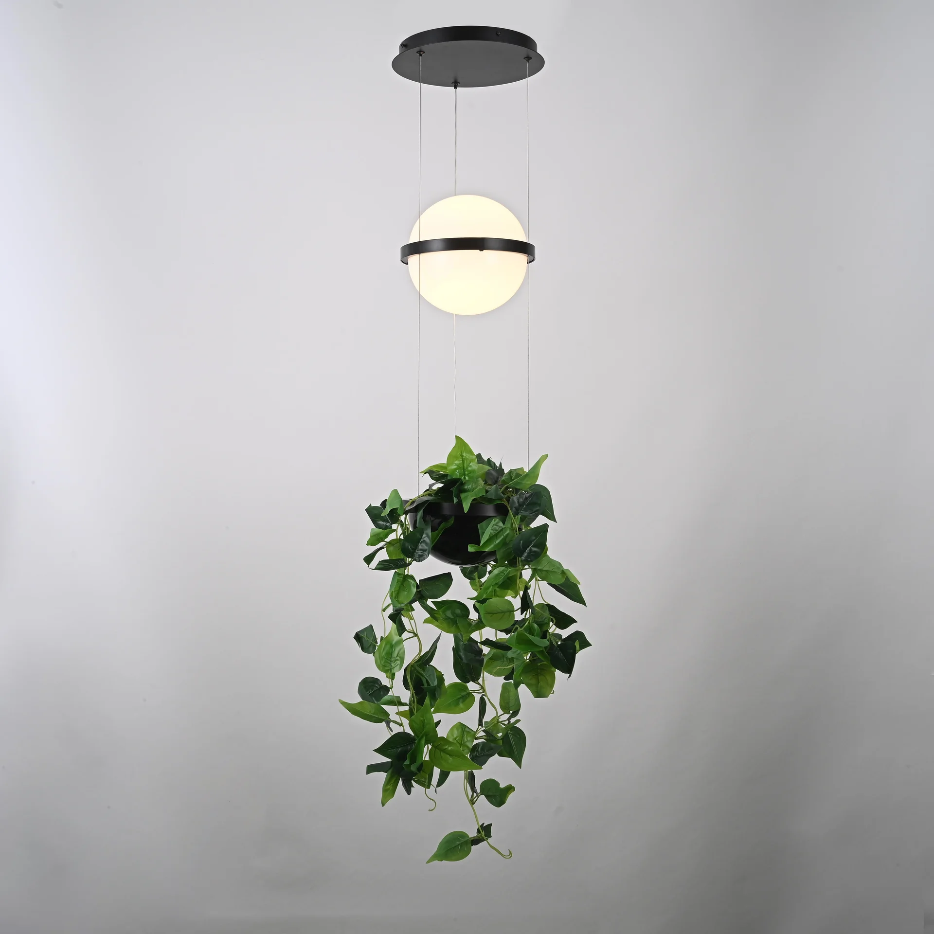 Подвесной светильник PALMA Wall lamp шар + вазон - миниатюра 7