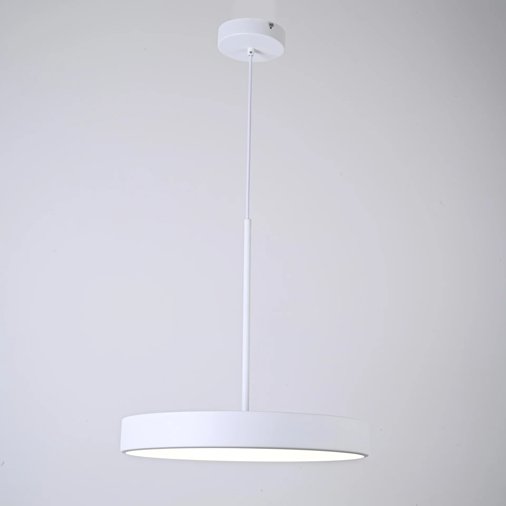 Подвесной светильник TURNA ONE D40 White by ImperiumLoft - миниатюра 6