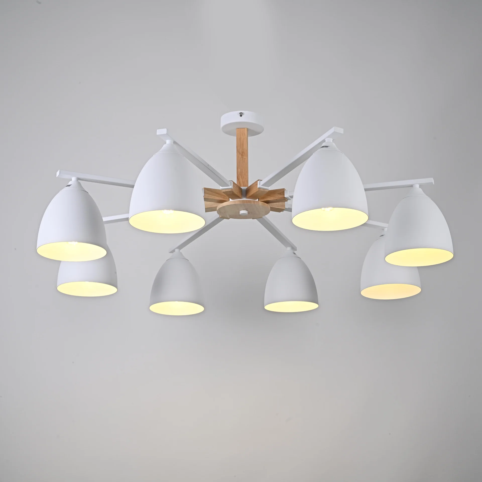 Потолочная люстра NOA 8 White - миниатюра 5