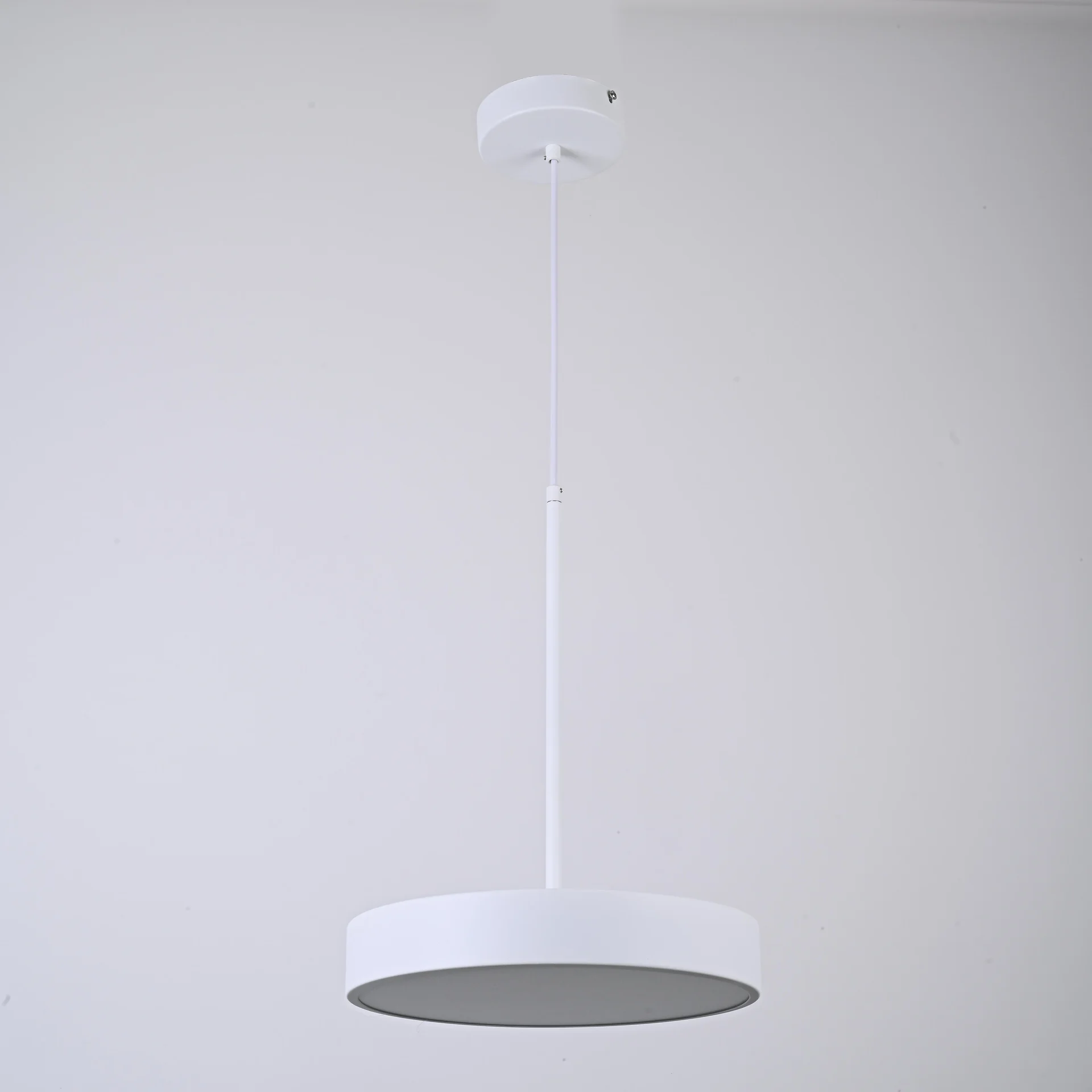 Подвесной светильник TURNA ONE D30 White by ImperiumLoft - миниатюра 3