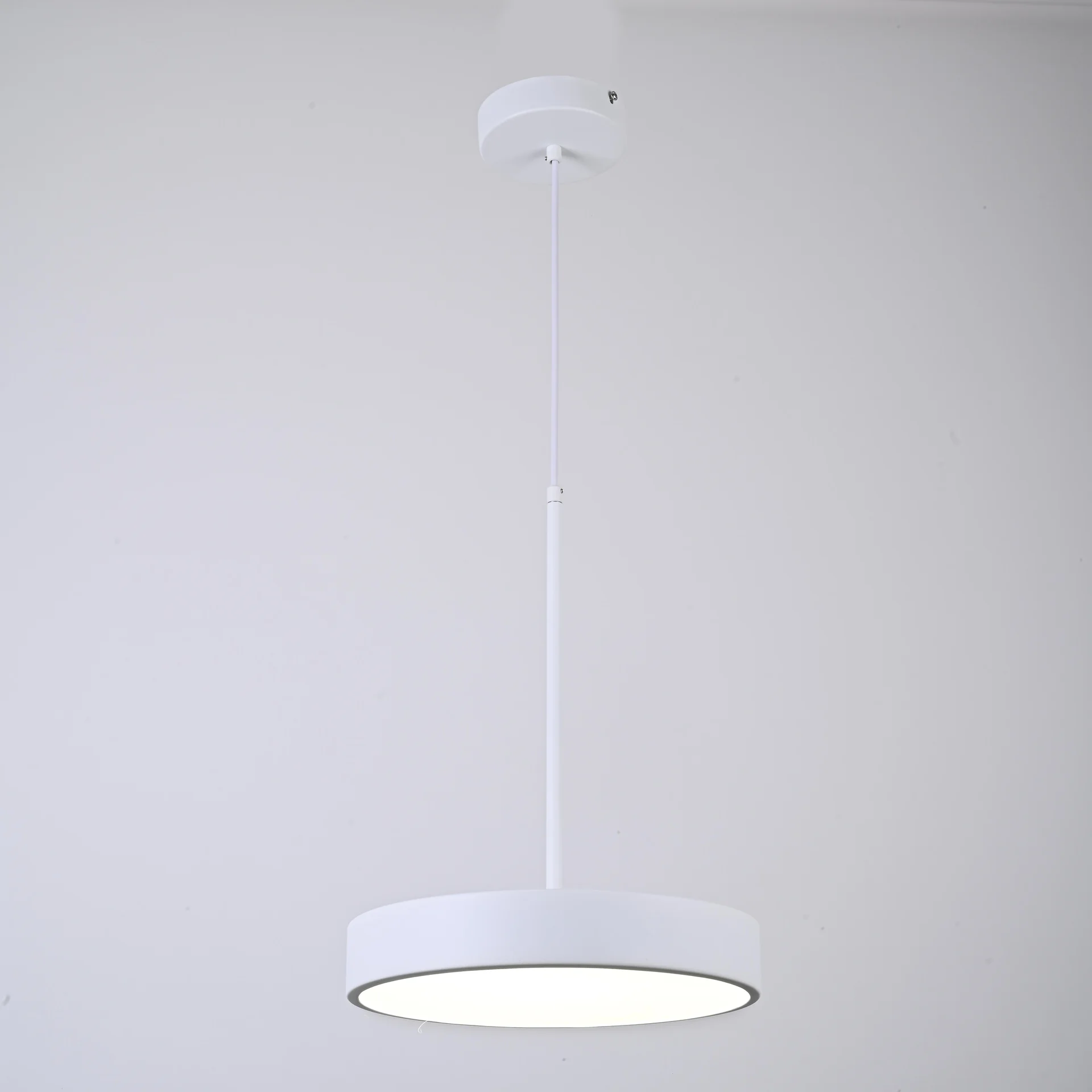 Подвесной светильник TURNA ONE D30 White by ImperiumLoft - миниатюра 4