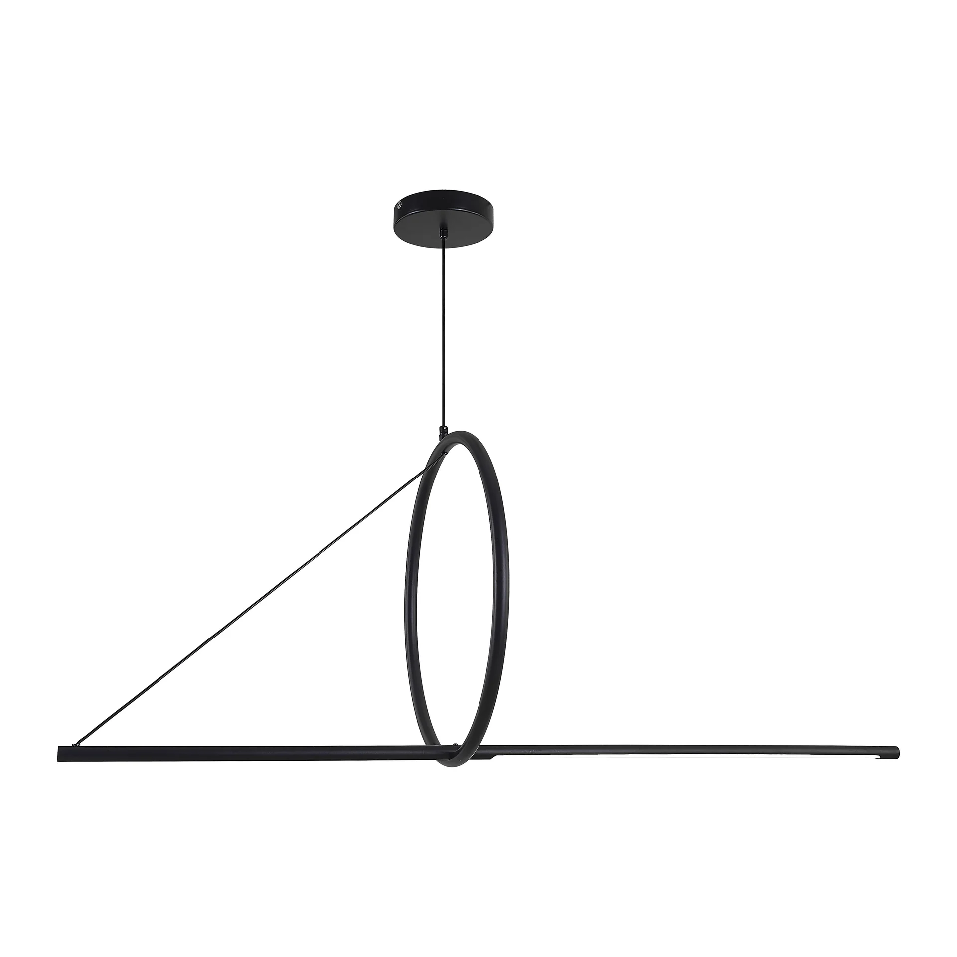 Подвесной светильник SUSPENSION CERCLE ET TRAIT – GRAPHITE SATINE L120 - миниатюра 14