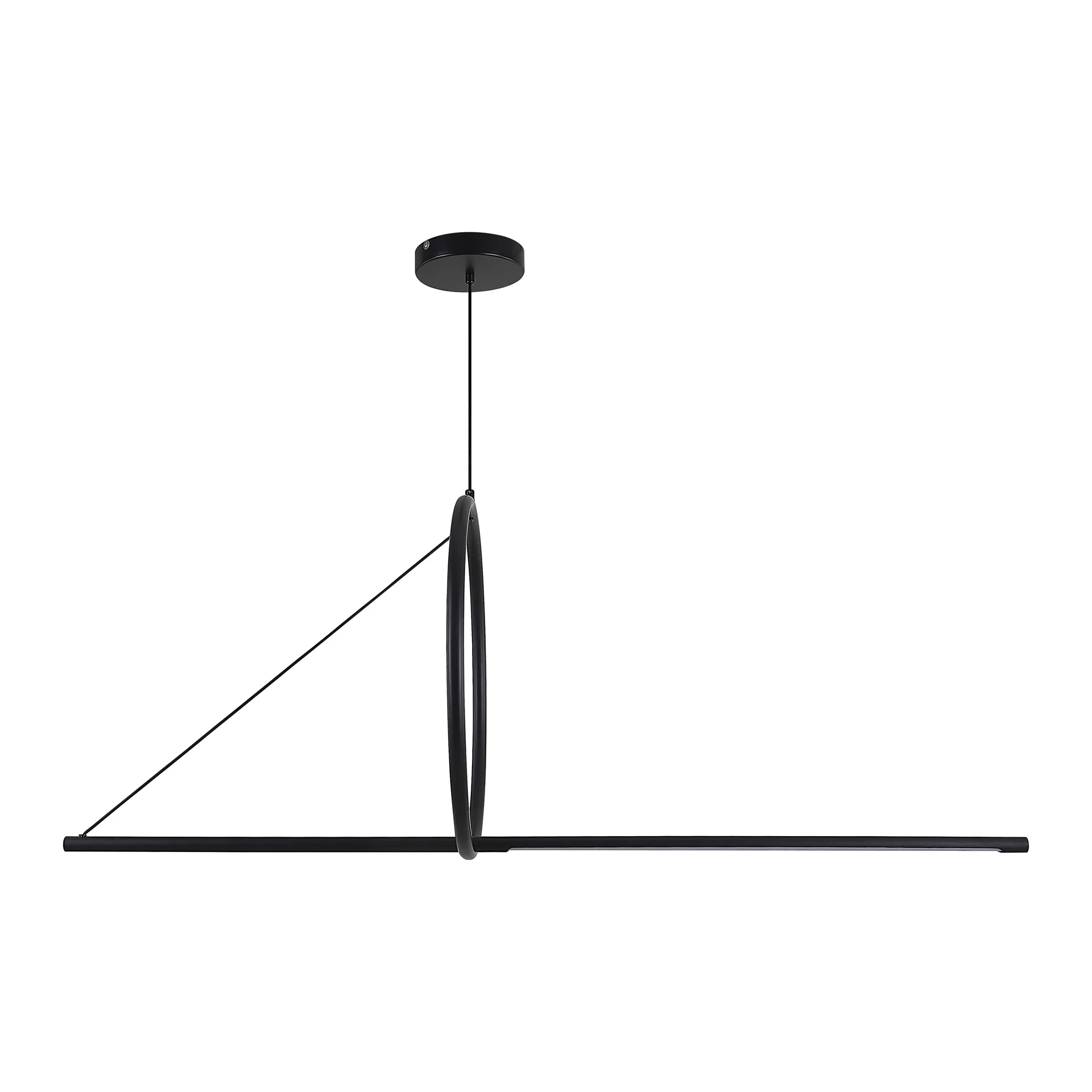 Подвесной светильник SUSPENSION CERCLE ET TRAIT – GRAPHITE SATINE L120 - миниатюра 17