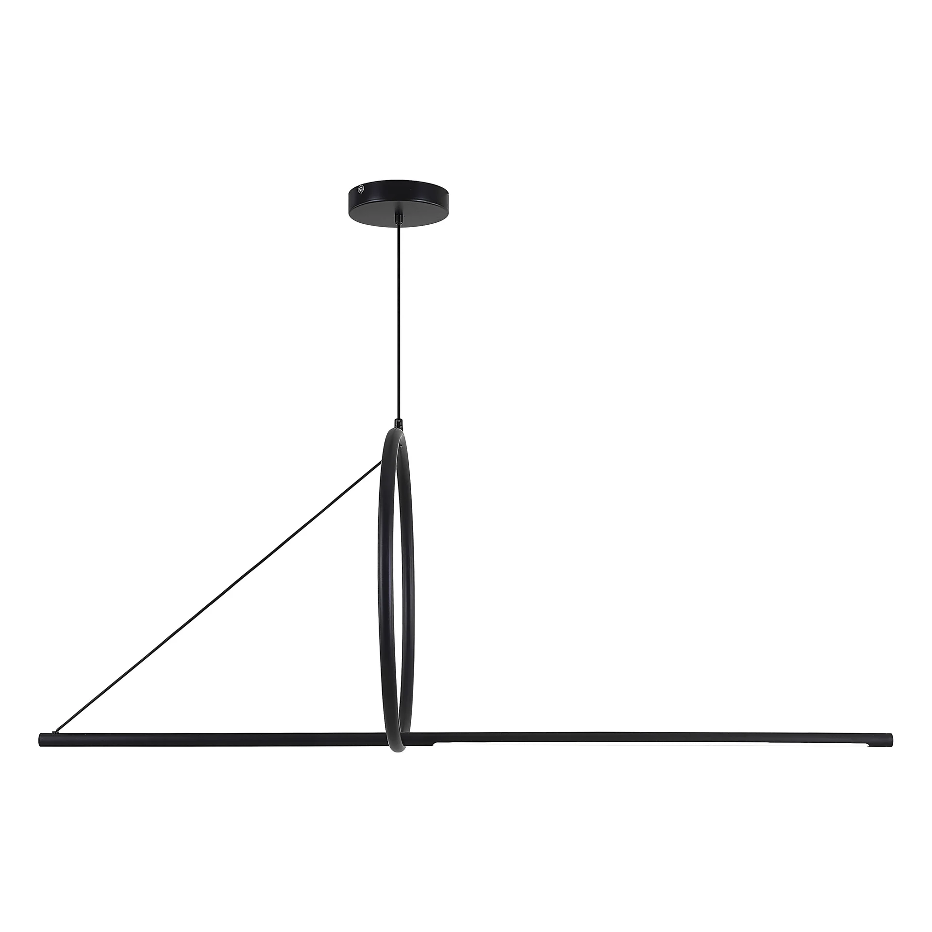 Подвесной светильник SUSPENSION CERCLE ET TRAIT – GRAPHITE SATINE L120 - миниатюра 18