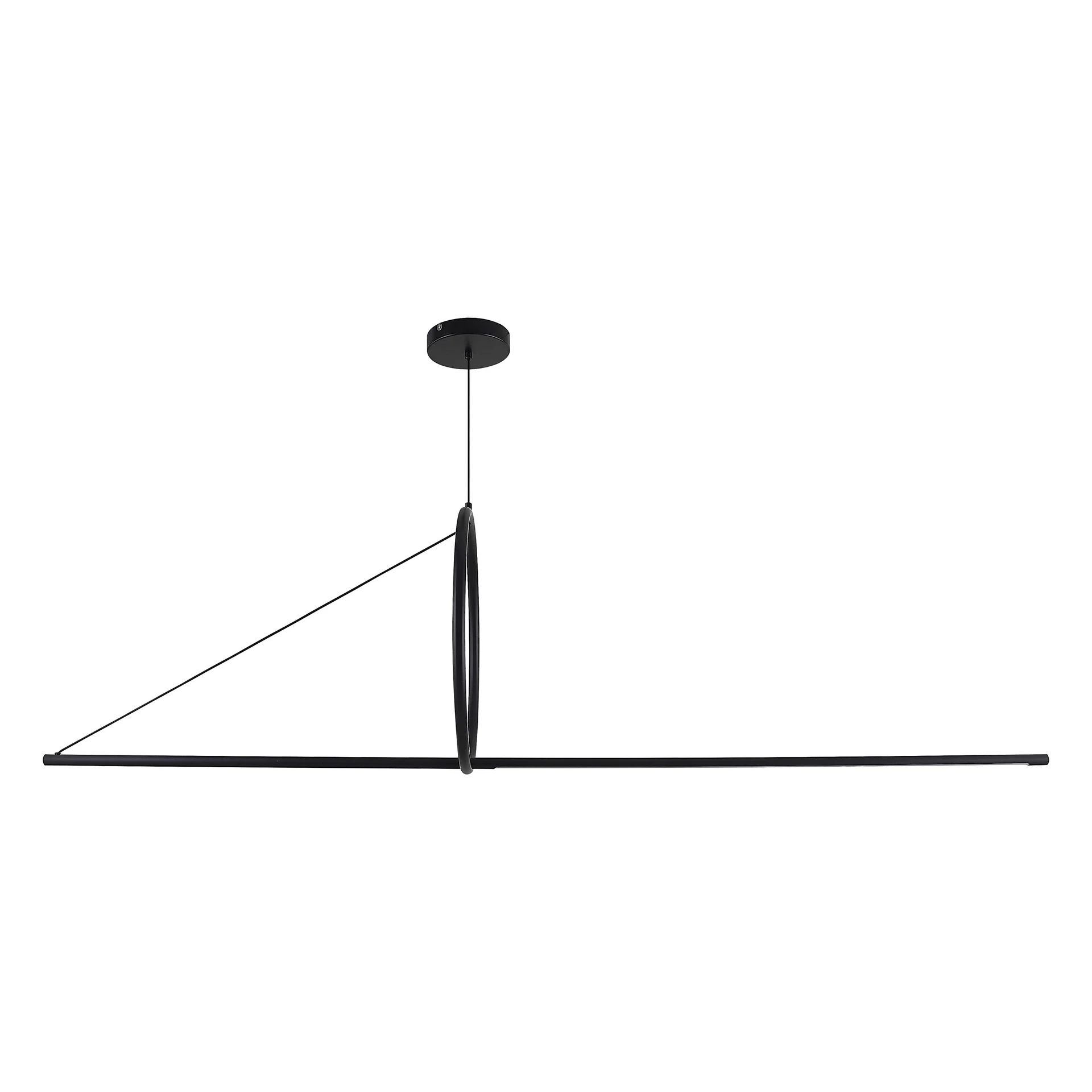 Подвесной светильник SUSPENSION CERCLE ET TRAIT – GRAPHITE SATINE L170 - миниатюра 19