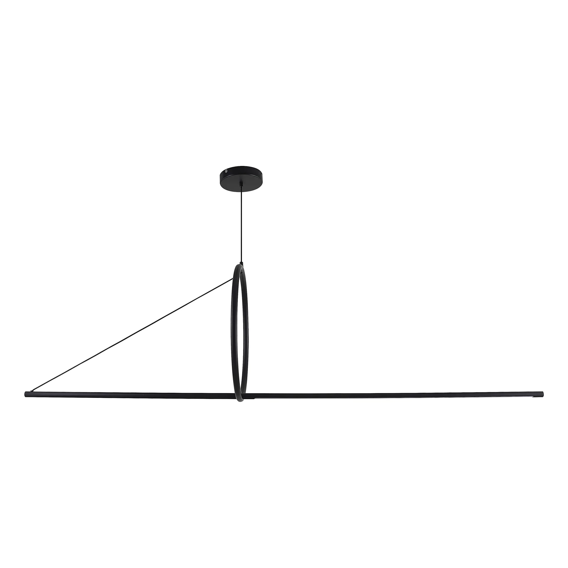 Подвесной светильник SUSPENSION CERCLE ET TRAIT – GRAPHITE SATINE L170 - миниатюра 20