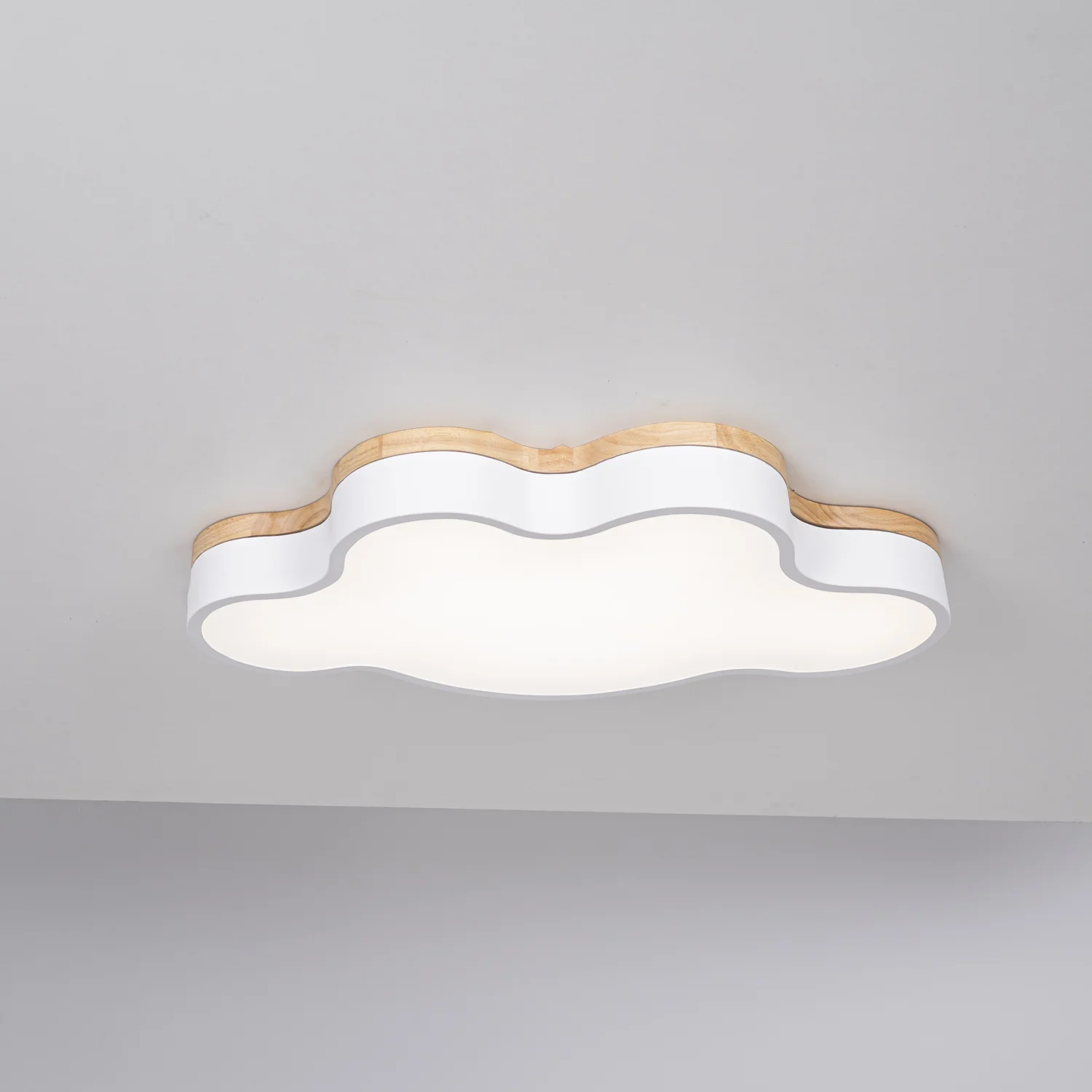 Потолочный светильник CLOUD ECO D63 White - миниатюра 2