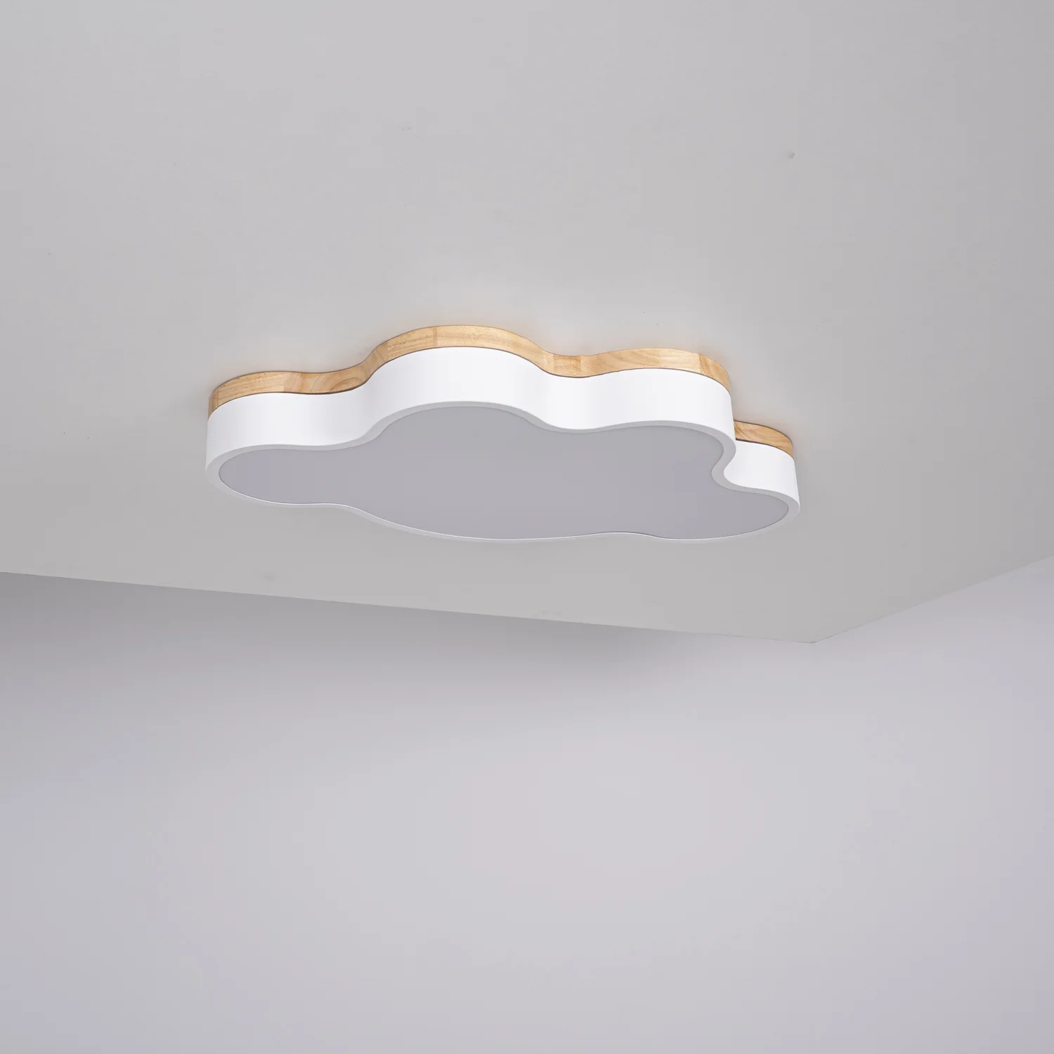 Потолочный светильник CLOUD ECO D63 White - миниатюра 6