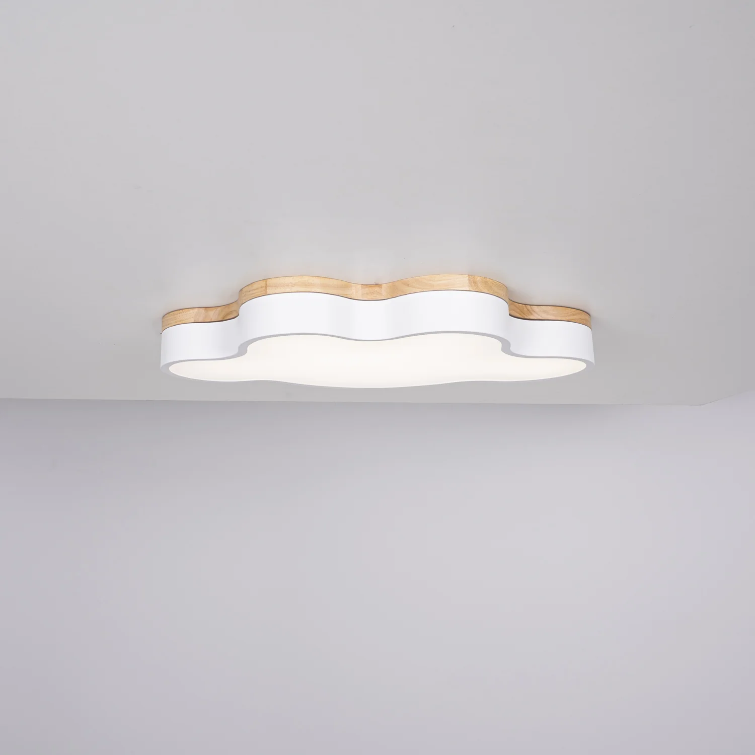 Потолочный светильник CLOUD ECO D63 White - миниатюра 7