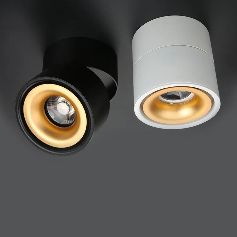 Потолочный светильник AGENDA black+gold 10W - миниатюра 3